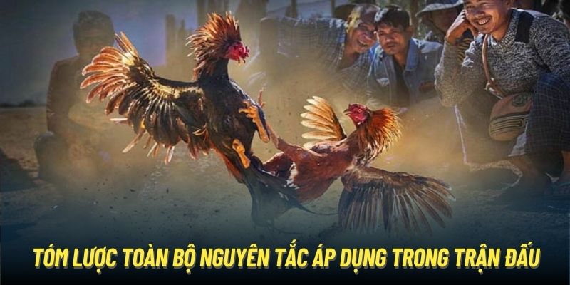 Tóm lược toàn bộ nguyên tắc áp dụng trong trận đấu